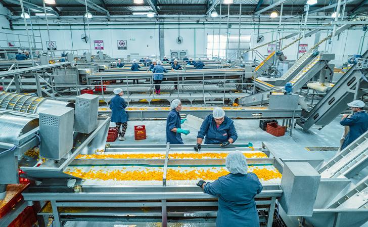 Cadena de producción en el interior de fábrica de La Gioconda, con alta tecnología